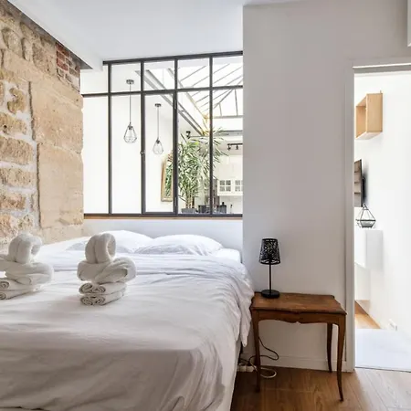 Former Art Studio Under Glass Roof In Strasbourg St-denis Welkeys Apartment